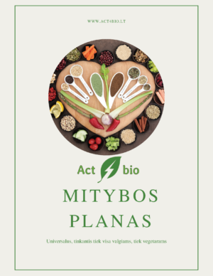 Subalansuotos mitybos planas 21